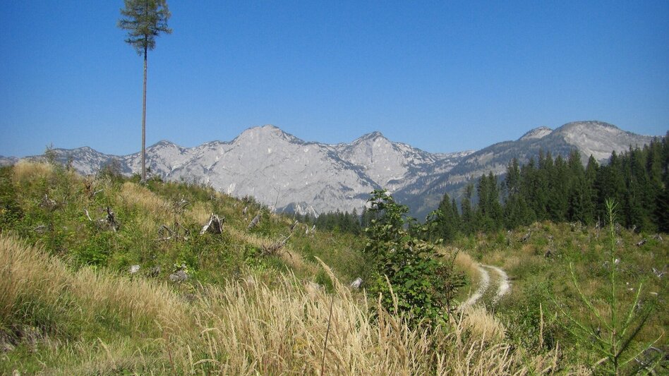 Hiking route BergeSeen Trail 19: Tauplitzalm - Gößl - Touren-Impression #2.3 | © Salzkammergut - BergeSeen