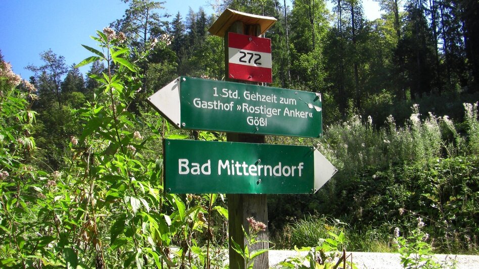 Hiking route BergeSeen Trail 19: Tauplitzalm - Gößl - Touren-Impression #2.4 | © Salzkammergut - BergeSeen
