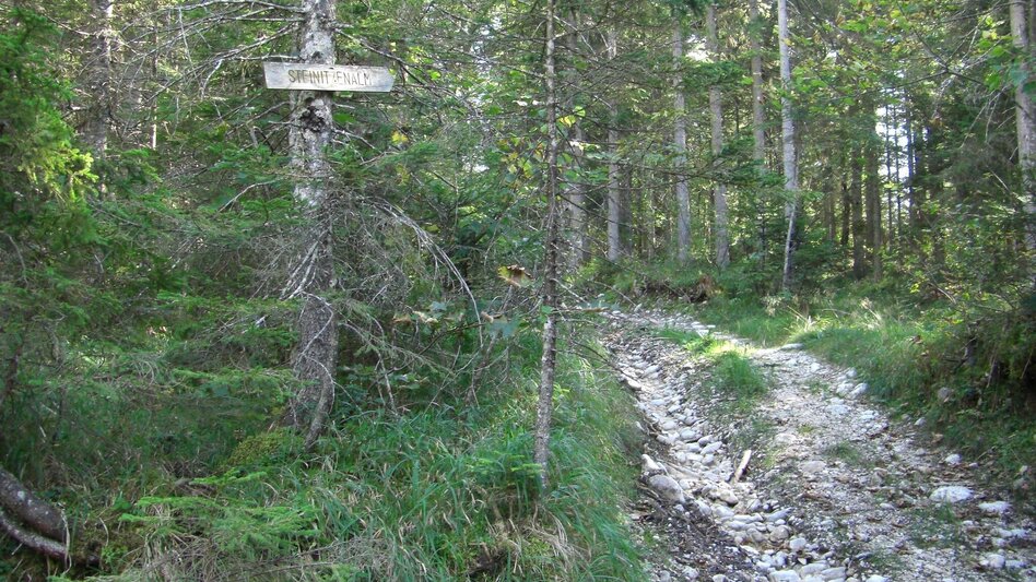 Wanderung BergeSeen Trail 17: Bad Aussee - Bad Mitterndorf - Touren-Impression #2.2 | © Salzkammergut - BergeSeen