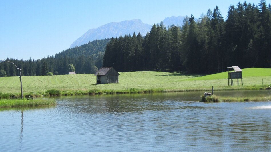 Wanderung BergeSeen Trail 17: Bad Aussee - Bad Mitterndorf - Touren-Impression #2.3 | © Salzkammergut - BergeSeen