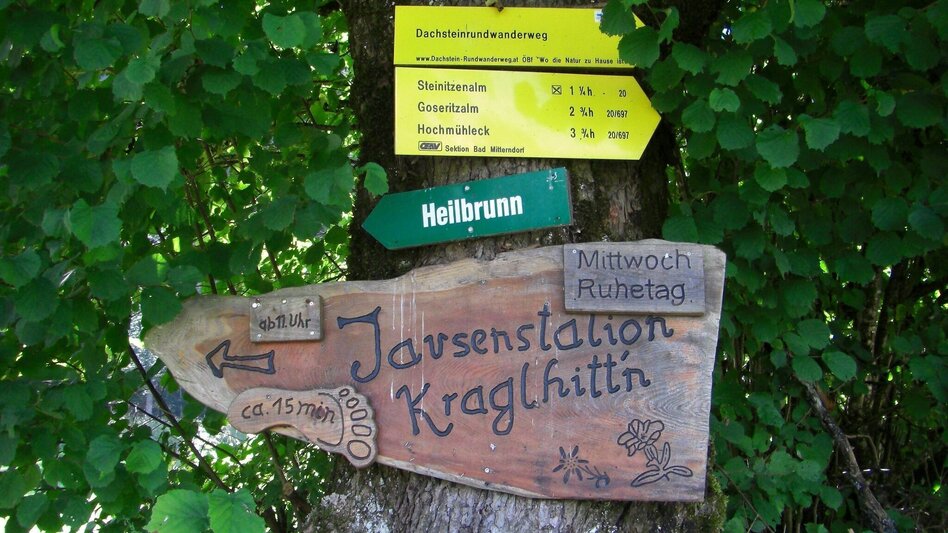 Wanderung BergeSeen Trail 17: Bad Aussee - Bad Mitterndorf - Touren-Impression #2.5 | © Salzkammergut - BergeSeen