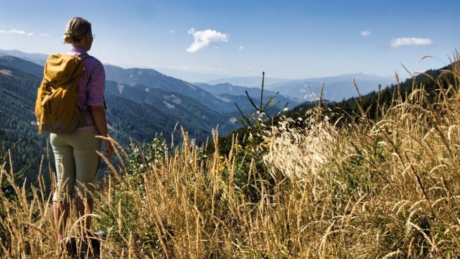Hiking route Mugel von der Stadlmaier-Alm - Touren-Impression #2.5 | © Tourismusverband ERZBERG LEOBEN