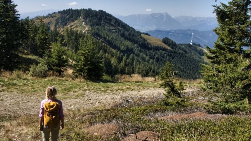 Hiking route Mugel von der Stadlmaier-Alm - Touren-Impression #2.7 | © Tourismusverband ERZBERG LEOBEN