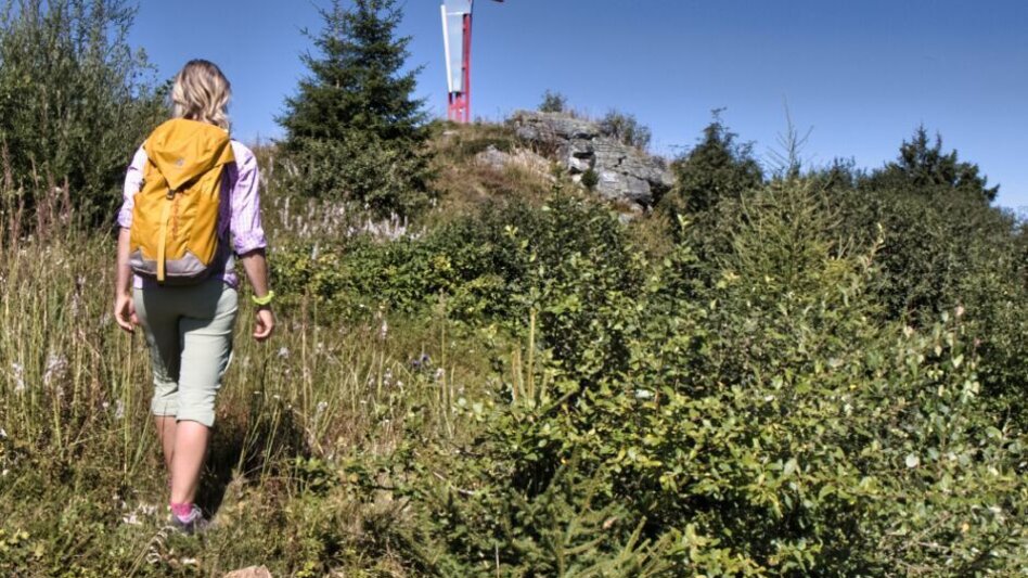 Hiking route Mugel von der Stadlmaier-Alm - Touren-Impression #2.9 | © Tourismusverband ERZBERG LEOBEN