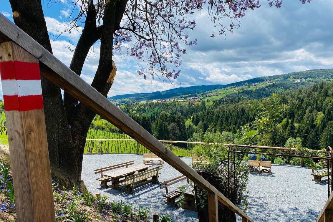 Hiking route St. Stefan-Gundersdorf-Zachgraben Rundweg - Touren-Impression #1 | © Schilcherland Steiermark
