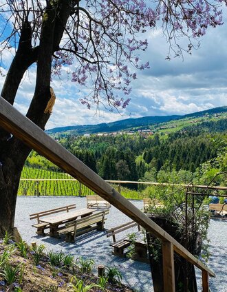 Gundersdorf Florlwirt SB Station Aussicht | Stefanie Schmid | © Schilcherland Steiermark
