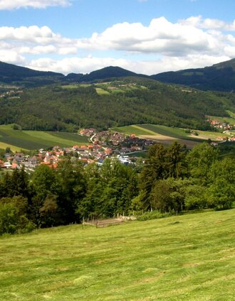 Blick auf Oberfeistritz | Alfredo | © www.fahr-radwege.com