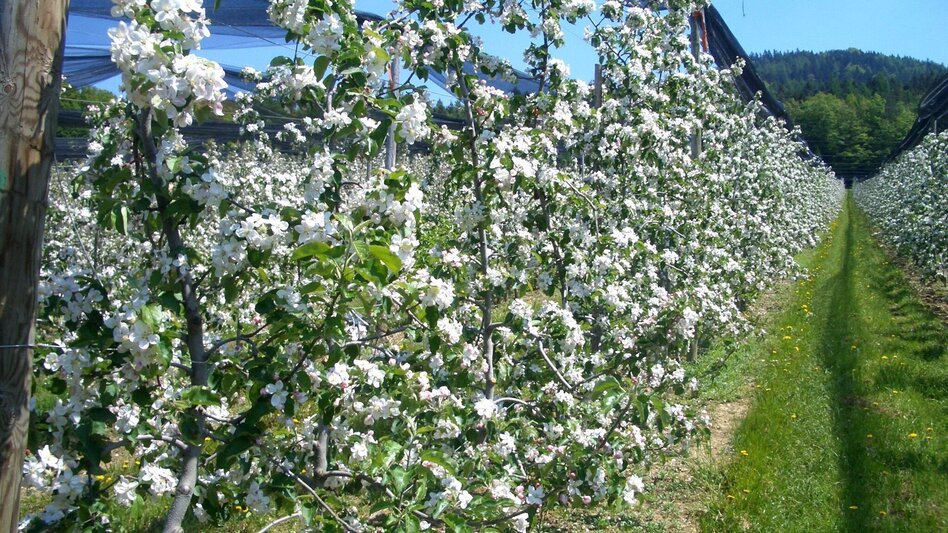 Bike Riding Panoramatour Anger - Touren-Impression #2.2 | © www.fahr-radwege.com