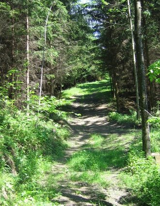 Way to St. Kathrein am Offenegg, Eastern Styria | © Oststeiermark Tourismus