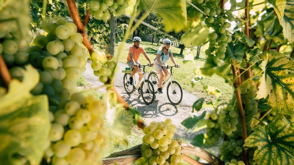 Bike Riding Harter Teich-Radweg - Touren-Impression #2.1 | © Oststeiermark Tourismus