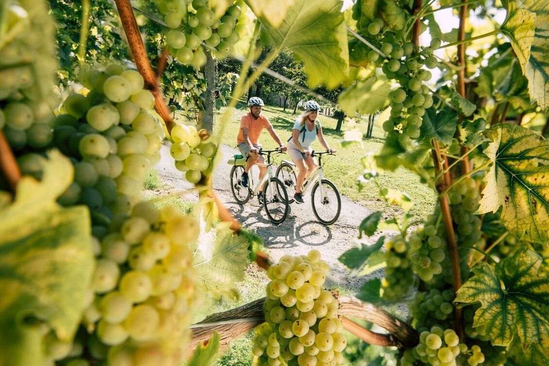 Bike Riding Harter Teich-Radweg - Touren-Impression #1 | © Oststeiermark Tourismus