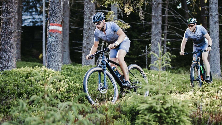 Mountainbike Soboth Erlebnistour 125 - Touren-Impression #2.2 | © Südsteiermark