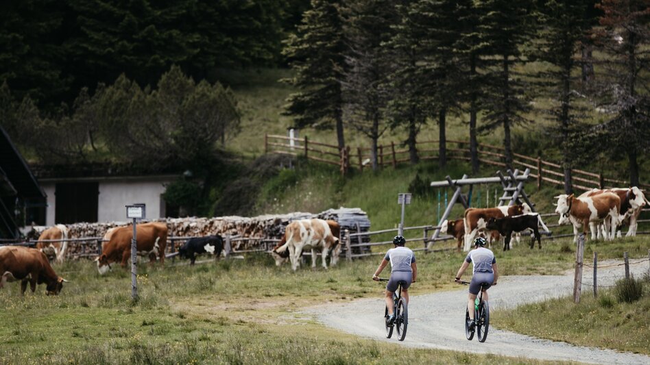 Mountainbike Soboth Erlebnistour 125 - Touren-Impression #2.1 | © Südsteiermark