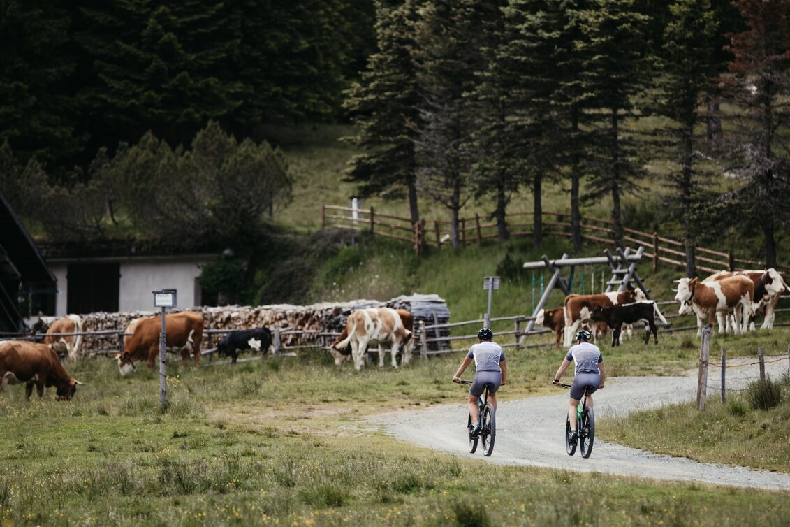 Mountainbike Soboth Erlebnistour 125 - Touren-Impression #1 | © Südsteiermark
