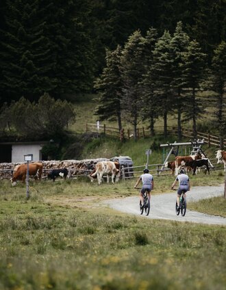 Soboth - Erlebnistour | Magdalena Klug | © Südsteiermark