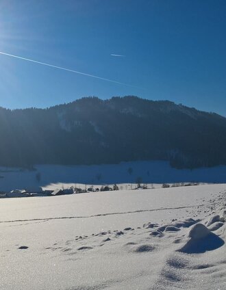 winterwanderweg gröbming-winkl_img_31961193 | Schladming Dachstein - TVB Gröbminger Land | © Erlebnisregion Schladming-Dachstein