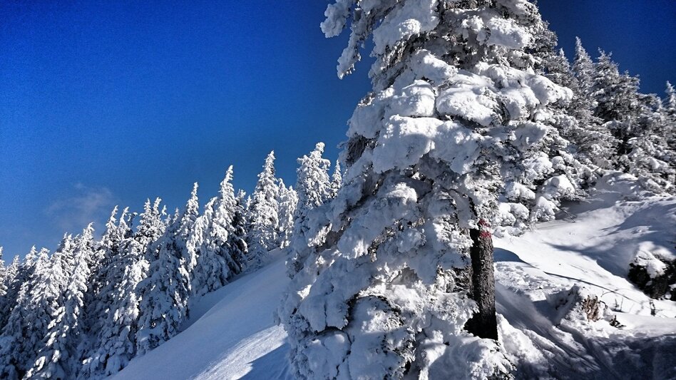 Winterwandern Winterwandern am Ennsradweg - Touren-Impression #2.1 | © Erlebnisregion Schladming-Dachstein
