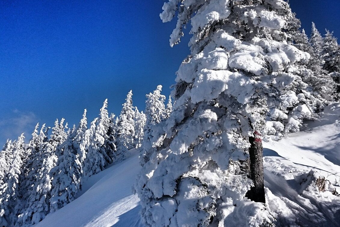 Winterwandern Winterwandern am Ennsradweg - Touren-Impression #1 | © Erlebnisregion Schladming-Dachstein