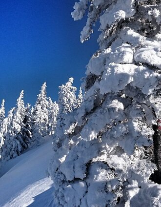winterwandern am ennsradweg_img_31980697 | Schladming Dachstein - TVB Gröbminger Land | © Erlebnisregion Schladming-Dachstein