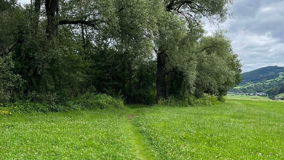 Wanderung Kleine Ennsrunde - Touren-Impression #2.2 | © Erlebnisregion Schladming-Dachstein
