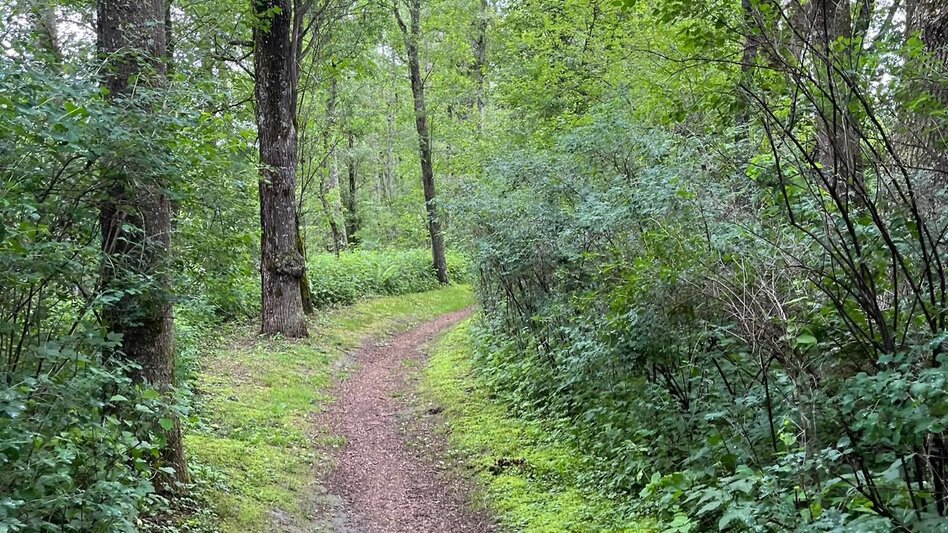Wanderung Kleine Ennsrunde - Touren-Impression #2.3 | © Erlebnisregion Schladming-Dachstein