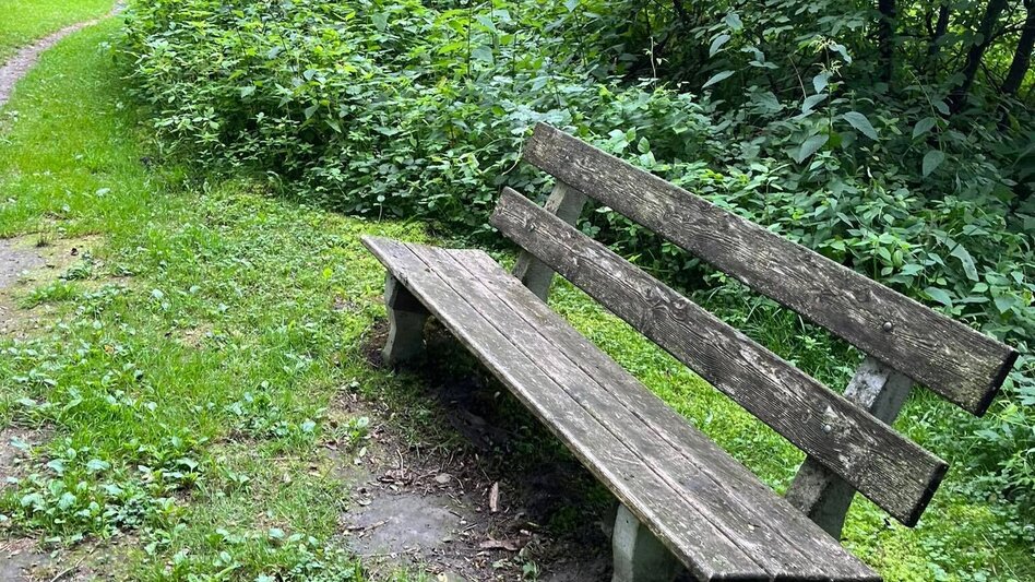 Wanderung Kleine Ennsrunde - Touren-Impression #2.5 | © Erlebnisregion Schladming-Dachstein