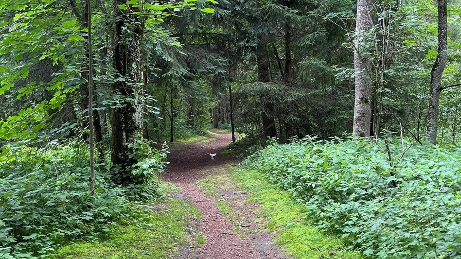 Wanderung Kleine Ennsrunde - Touren-Impression #2.7 | © Erlebnisregion Schladming-Dachstein
