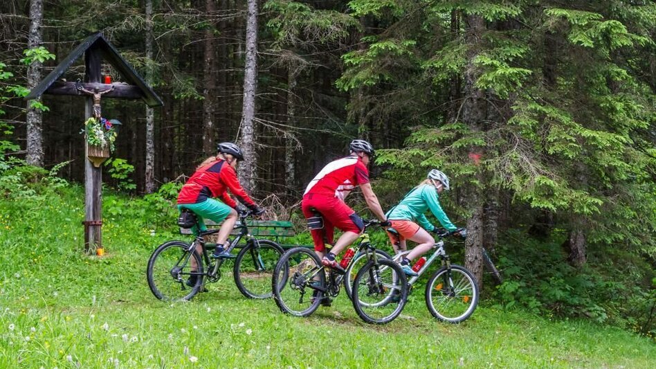 Mountain Biking Eibenberg Tour - Touren-Impression #2.1 | © SSW/Coen Weesjes