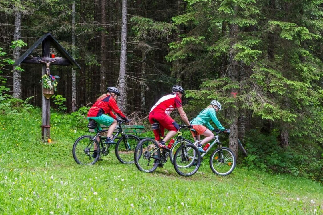 Mountain Biking Eibenberg Tour - Touren-Impression #1 | © SSW/Coen Weesjes
