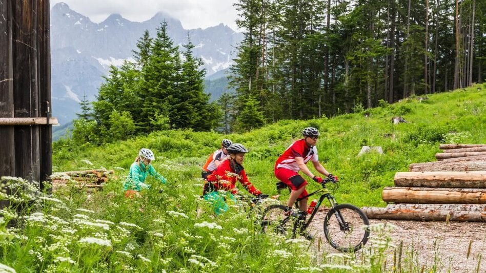 Mountain Biking Eibenberg Tour - Touren-Impression #2.3 | © SSW/Coen Weesjes
