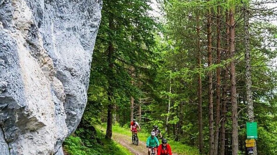 Mountain Biking Eibenberg Tour - Touren-Impression #2.4 | © SSW/Coen Weesjes