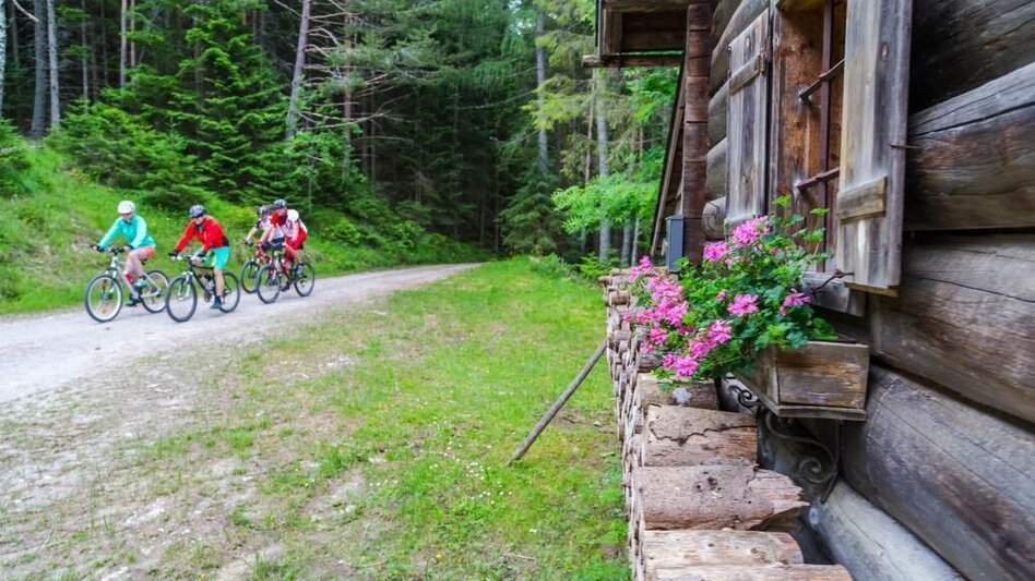 Mountain Biking Eibenberg Tour - Touren-Impression #2.7 | © SSW/Coen Weesjes