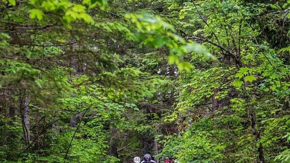 Mountain Biking Eibenberg Tour - Touren-Impression #2.8 | © SSW/Coen Weesjes