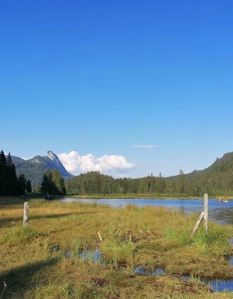 Spechtensee - bereit zum reinhüpfen | Roland Gutwenger | © Erlebnisregion Schladming-Dachstein