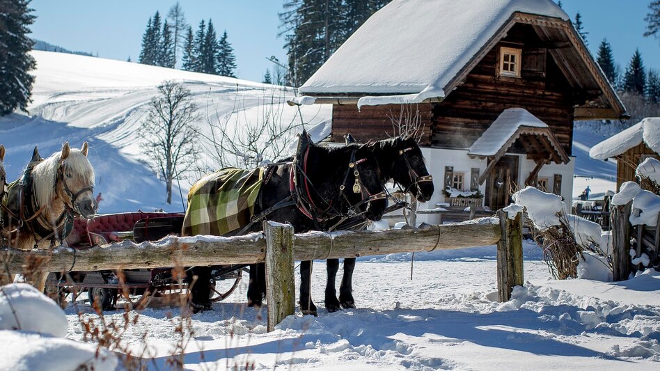 Pferdeschlitten Leitenrunde Pferdeschlittenweg - Touren-Impression #2.1 | © Erlebnisregion Schladming-Dachstein