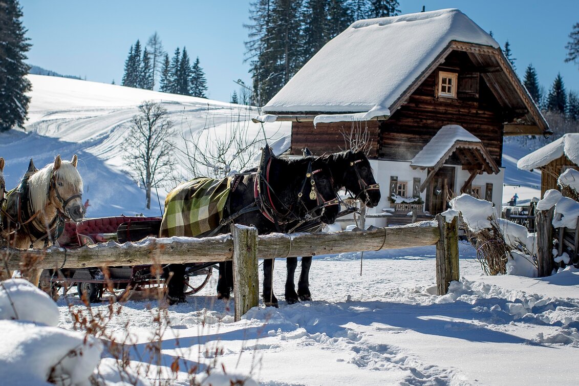 Pferdeschlitten Leitenrunde Pferdeschlittenweg - Touren-Impression #1 | © Erlebnisregion Schladming-Dachstein