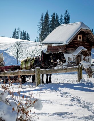 leitenrunde pferdeschlittenweg_img_43758124 | Tom Lamm | © Erlebnisregion Schladming-Dachstein