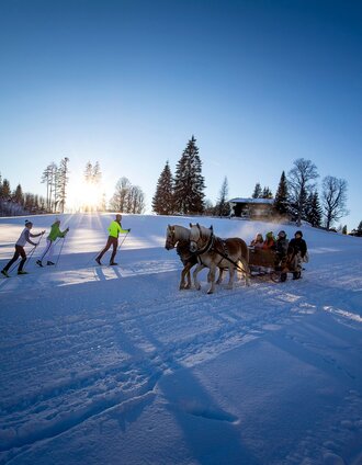 rössing pferdeschlittenweg_img_43758128 | Tom Lamm | © Erlebnisregion Schladming-Dachstein