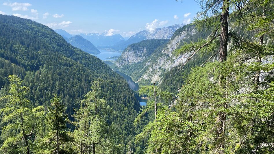 Hiking route 3-Seen-Blick - Touren-Impression #2.1 | © TVB Ausseerland Salzkammergut_Bettina Scheck