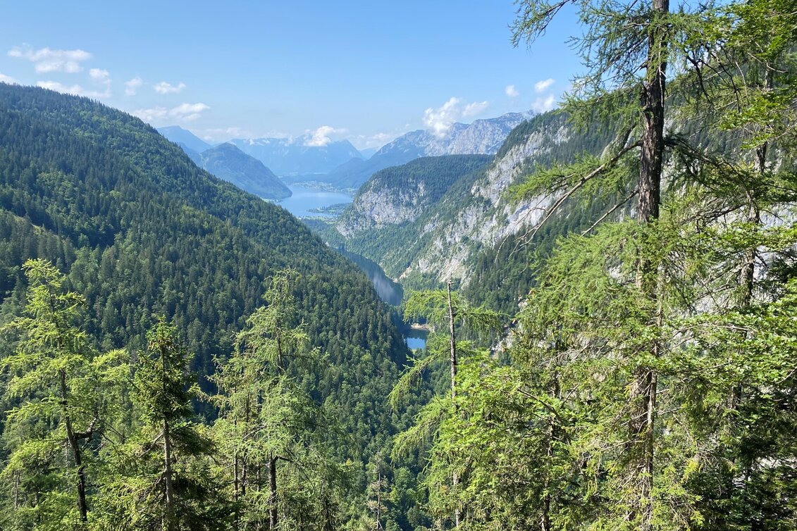 Hiking route 3-Seen-Blick - Touren-Impression #1 | © TVB Ausseerland Salzkammergut_Bettina Scheck