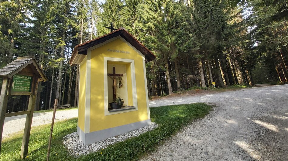 Bike Riding The great Jogl  stage Fischbach - Vorau - Touren-Impression #2.8 | © Oststeiermark Tourismus