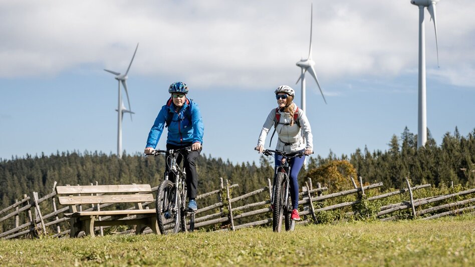 Bike Riding The great Jogl  stage Fischbach - Vorau - Touren-Impression #2.18 | © Oststeiermark Tourismus