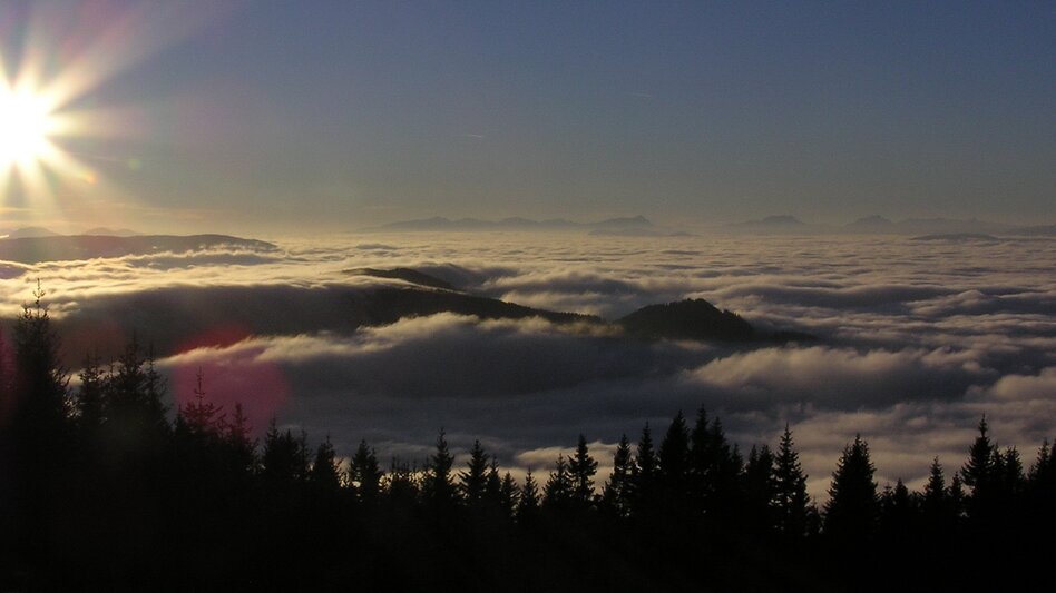 Hiking route From Hohenwang Castle to Mürzzuschlag - Touren-Impression #2.3 | © Marktgemeinde Langenwang