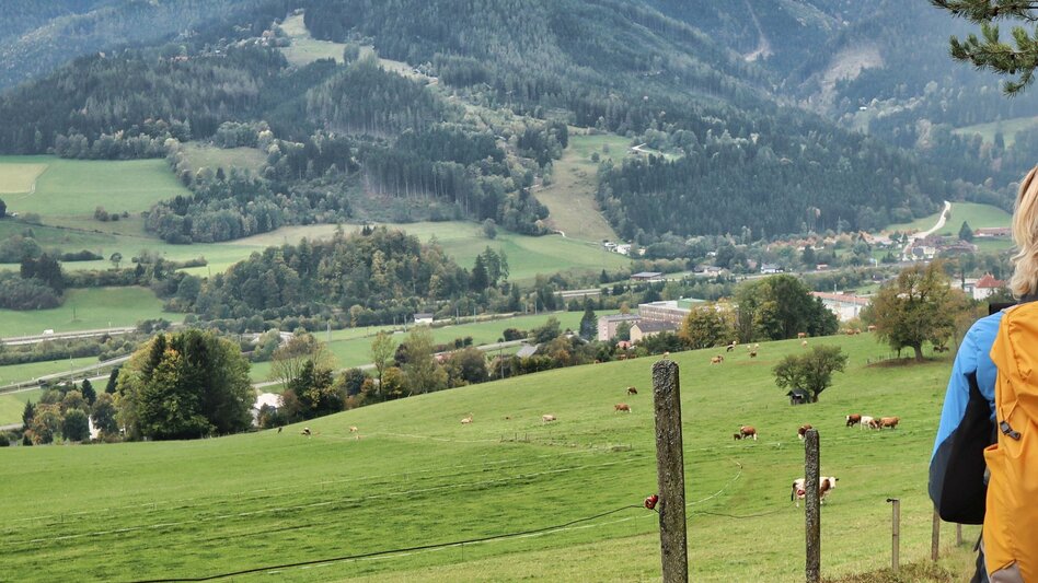 Hiking route Styrian Iron Trail- 3. Etappe Variante Mautern - Wald am Schoberpaß - Touren-Impression #2.1 | © Weges OG