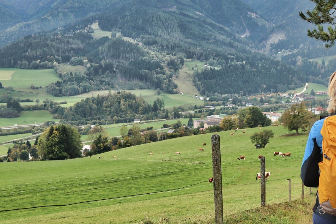 Hiking route Styrian Iron Trail- 3. Etappe Variante Mautern - Wald am Schoberpaß - Touren-Impression #1 | © Weges OG