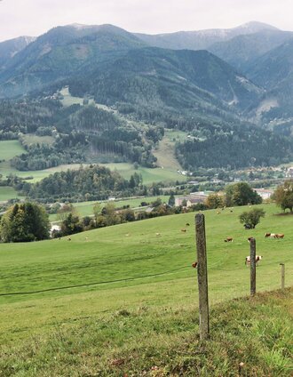 Kurz vor Mautern | Fa. WEGES OG im Auftrag der Abenteuer- und Sportregion ERZBERG LEOBEN | © Weges OG
