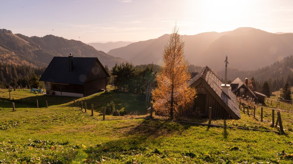 Mountain Biking MountainbikeTour auf die Turnauer Alm - Touren-Impression #2.1 | © Tourismusverband Hochsteiermark