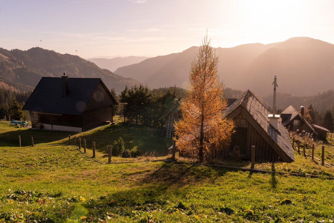 Mountain Biking MountainbikeTour auf die Turnauer Alm - Touren-Impression #1 | © Tourismusverband Hochsteiermark