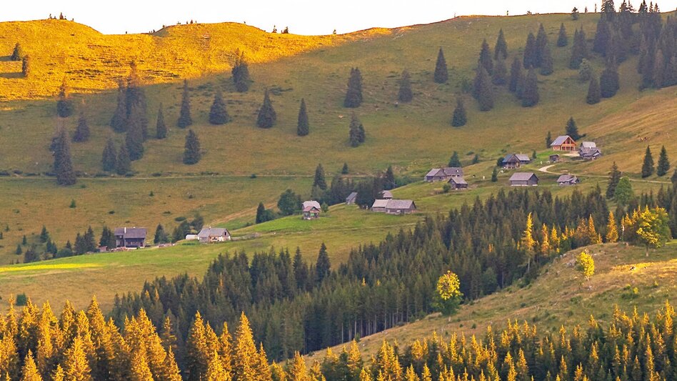 Mountain Biking MountainbikeTour auf die Turnauer Alm - Touren-Impression #2.2 | © Tourismusverband Hochsteiermark