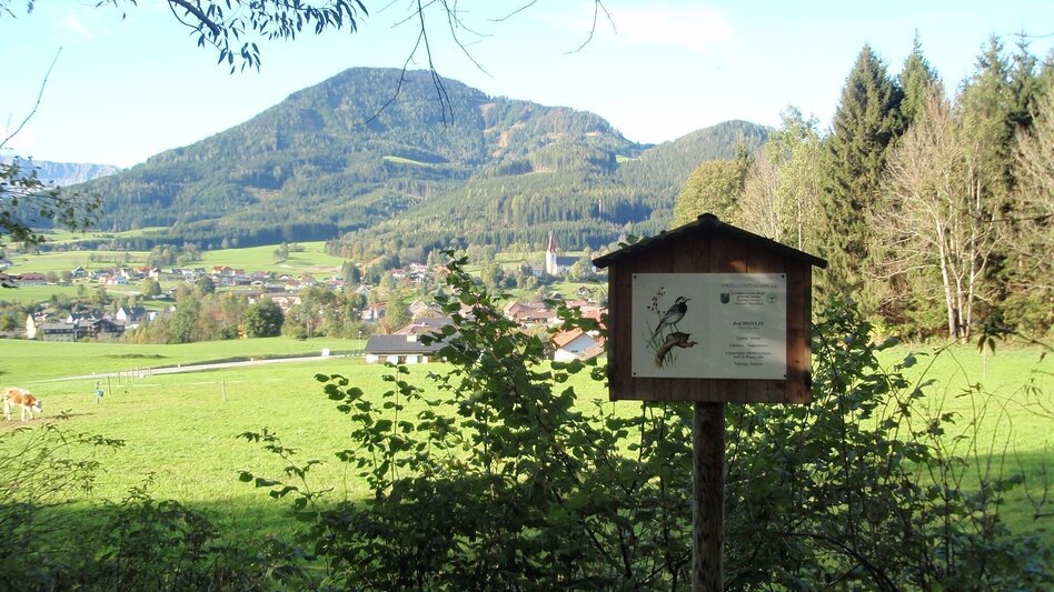 Theme path Birds' Educational Trail in Turnau - Touren-Impression #2.1 | © TV Hochsteiermark